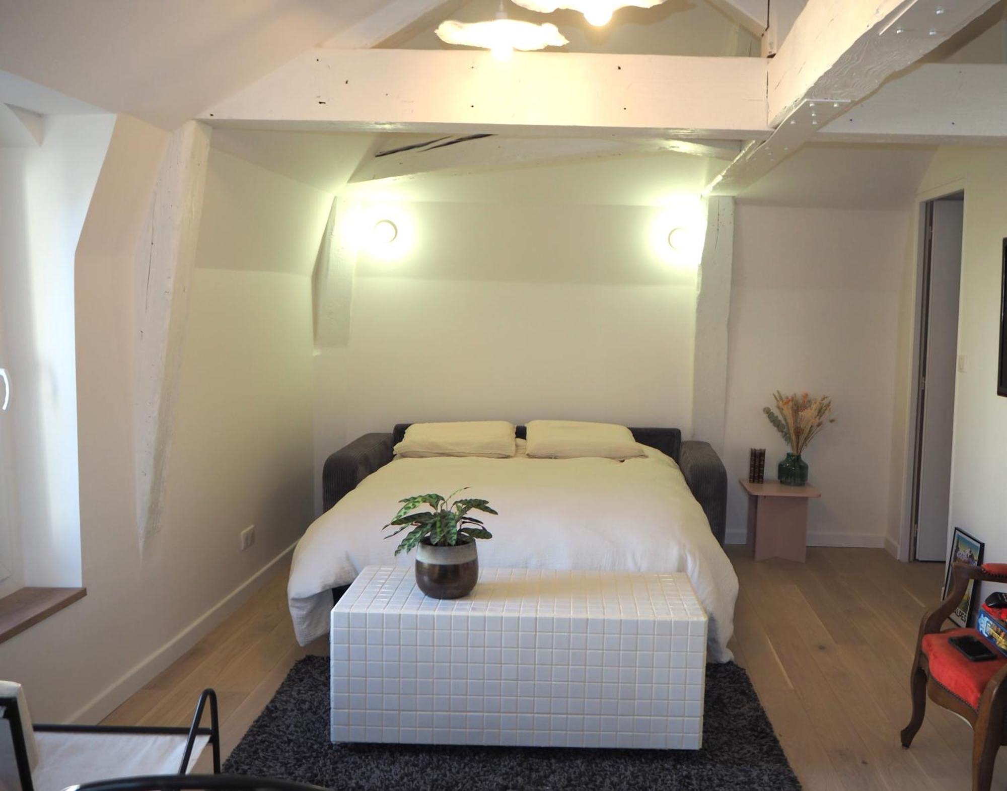 Les Baleines - Hypercentre 2 Chambres Avec Garage Et Clim - Air Conditioning Grenoble Luaran gambar